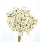 Planta Seca Sempre Viva Branco Artesanal