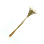 Planta Seca Sempre Viva Branco Artesanal