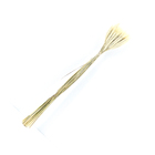 Planta Seca Trigo Colorido Bege Artesanal