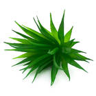 Planta Suculenta Artificial Md4