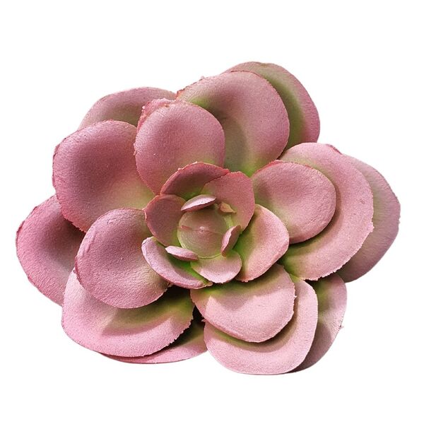 Planta Suculenta Echeveria Artificial Para Decoração Cores: R