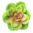 Planta Suculenta Echeveria Artificial Para Decoração Cores: V