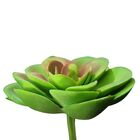Planta Suculenta Echeveria Artificial Para Decoração Cores: V