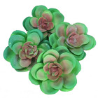 Planta Suculenta Echeveria Artificial Para Decoração Cores: V