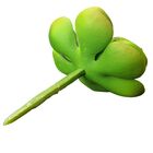 Planta Suculenta Echeveria Artificial Para Decoração Cores: V