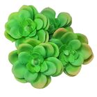 Planta Suculenta Echeveria Artificial Para Decoração Cores: V