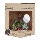 Planta Terrario Decorado