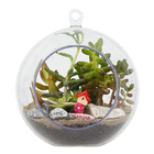 Planta Terrario Decorado