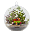 Planta Terrario Decorado