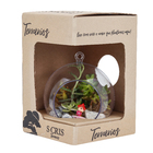 Planta Terrario Decorado