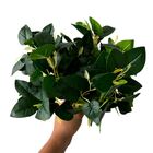 Plantas Artificiais 20 Buques Lindos Para Decoração De Divisó