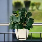 Plantas Artificiais 20 Buques Lindos Para Decoração De Divisó