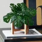 Plantas Artificiais Folhas De Costela De Adão Realistas 10 Un