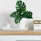 Plantas Artificiais Folhas De Costela De Adão Realistas 15 Un