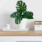 Plantas Artificiais Hastes Decorativas De Costela De Adão 8 U