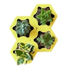 Plantinha De Geladeira - Pure Amarelo Claro (4 Un)