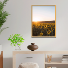 Plaquinha Decorativa Adesivada Campo De Girassol