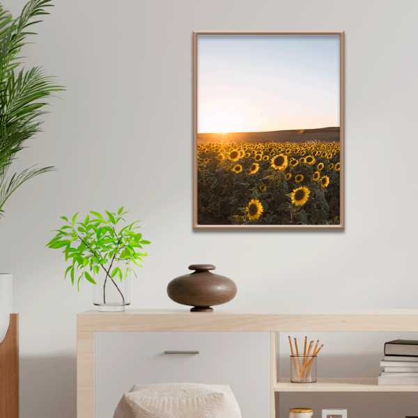 Plaquinha Decorativa Adesivada Campo De Girassol