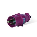 Plug Macho Poliamida 6.6 2p+t 16a 24v Ip44 Steck
