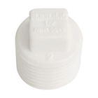 Plug roscavel 1"-plastilit