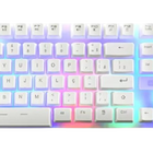 Plug Teclado Gamer Com Fio Evus Candy Tc-10w Rgb Branco