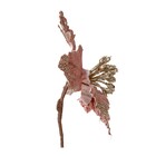 POINSENTIA ROSA VELHO 20CM