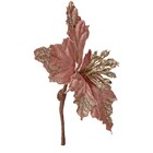 POINSENTIA ROSA VELHO 20CM