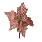 POINSENTIA ROSA VELHO 20CM