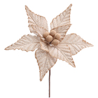 POINSÉTIA TRABALHADA NATURAL 20CM