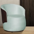 Poltrona Beatriz Veludo Acqua Com Composê Marrom - Vallisa De