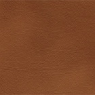 Poltrona Decorativa Couro Caramelo Agnes