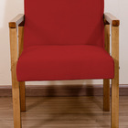 Poltrona Decorativa Luna Braço De Madeira Vermelho