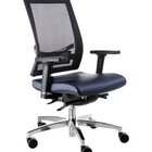 Poltrona Diretor Com Encosto Tela Mesh Linha Net Design Azul