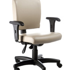 Poltrona Executiva Luxuosa Com Braços Fixos Linha Alpha Bege