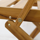 Poltrona Madeira Dobrável Tropicália Teca 90x59cm