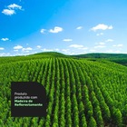 Poltrona Namoradeira Aisha 02 Lugares Orgânica Composê Sintét