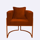 Poltrona Para Sala Base De Metal Reforçada Liz Veludo Terraco