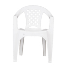 Poltrona Plástico Iguape Branca 72x50cm