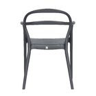 Poltrona Plástico Sissi Grafite 80x57cm