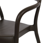 Poltrona Plástico Sissi Marrom 80x57cm