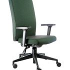 Poltrona Presidente Espaldar Alto Linha Alpha Verde