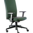 Poltrona Presidente Espaldar Alto Linha Alpha Verde Verde