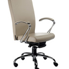 Poltrona Presidente Luxuosa Com Braços Fixos Linha Alpha Bege