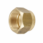 Porca de Latão 3/4" OKITY