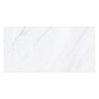 Porcelanato Marmorizado Acetinado Borda Reta Interno 60x120cm Frozen Biancogres