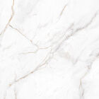 Porcelanato Castelo Tasso Tasso Polido 82x82  - Castelli - P7