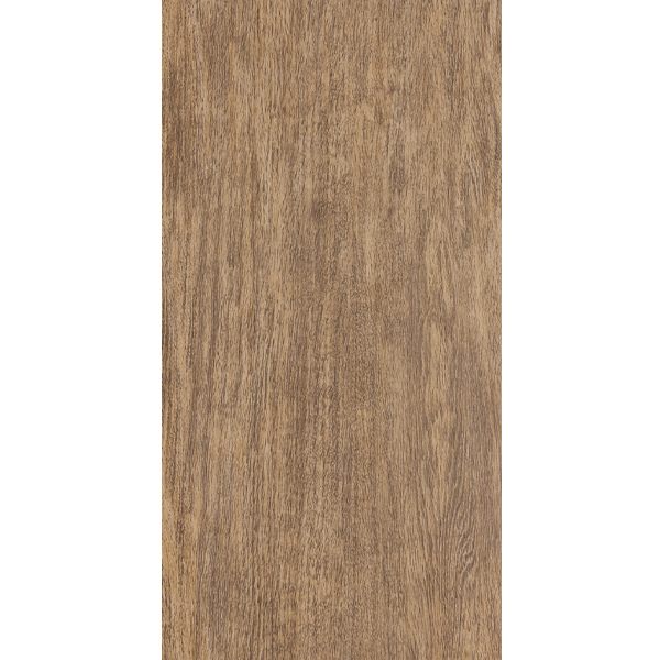 Porcelanato Esmaltado 30x58cm modelo Botânica Natural Itagres