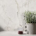 Porcelanato Interno Marmorizado Esmaltado Acetinado Borda Reta  120x120cm Apuano Oro Portobello