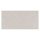 Porcelanato Decorado Polido Borda Reta Interno 60x120cm Silex Veggie Eliane