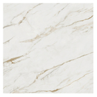 Porcelanato Marmorizado Acetinado Borda Reta Interno 100x100cm Piquiri Elizabeth